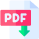 Download PDF